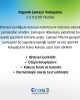 Organik Çamaşır Yumuşatıcı 2.5lt – Doğal, katkısız ve hassas ciltler için güvenli yumuşatıcı ürün