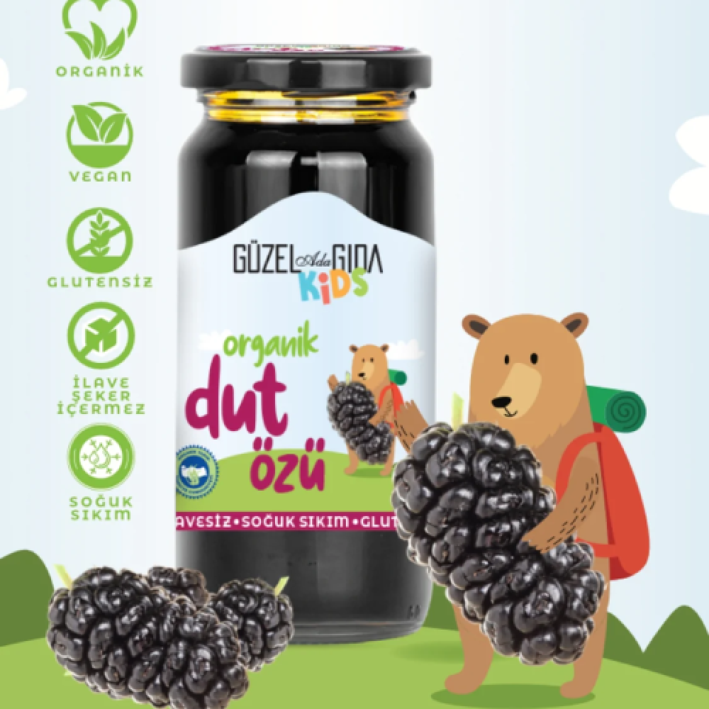 Organik dut özü 290 gr cam kavanoz, katkısız