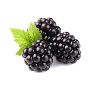 Organik Böğürtlen (Şale) Donuk