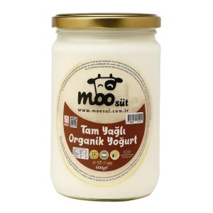 Yoğurt (600 GR)