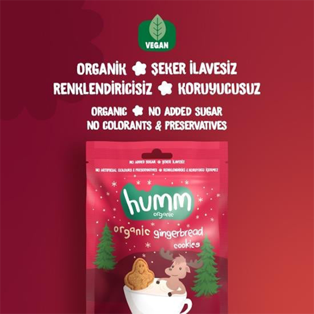 Organik zencefilli ve tarçınlı kurabiye 55 gr paket, vegan glutensiz baharatlı kurabiye