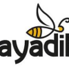 Kayadibi