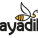 Kayadibi