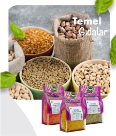 Temel Gıda