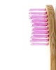 Humble Brush Lila Yumuşak Yetişkin Diş Fırçası Doğada Çözünür Bambu Saplı