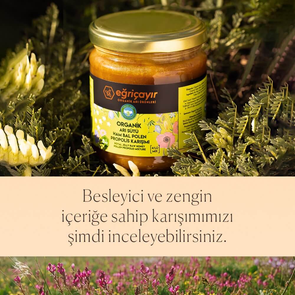 Eğriçayır Organik Sertifikalı Katkısız Arı Sütü Ham Bal Polen ve Propolis Karışımı 240 g Kavanozu